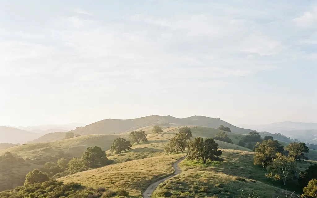 Calm rolling oil-heritage hills and open chaparral above Brea under soft morning light