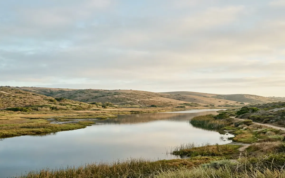 Calm North County coastal lagoon and open hillside near Carlsbad under soft morning light with wide sky