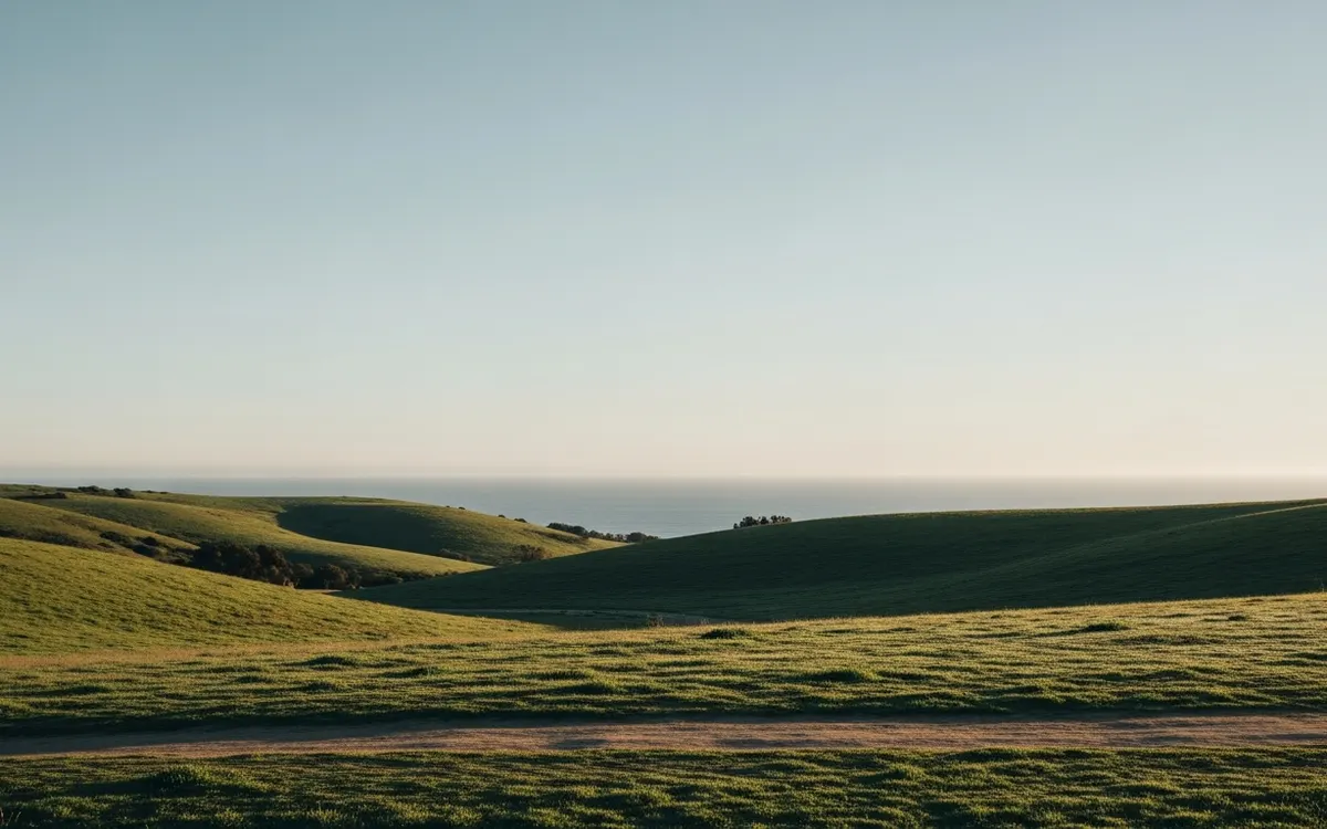 Calm Southern California parkland and open green space under soft morning light with wide open sky