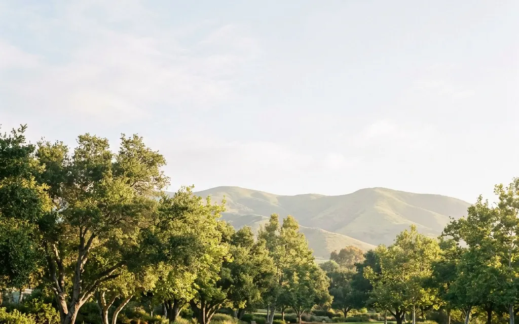 Calm tree-lined neighborhood park and gentle Puente Hills ridgeline near La Habra under soft morning light
