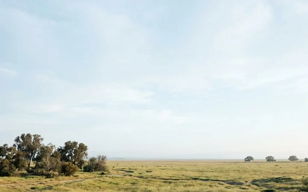 Calm open West Orange County parkland and wide quiet airfield-flat horizon near Los Alamitos at soft morning light