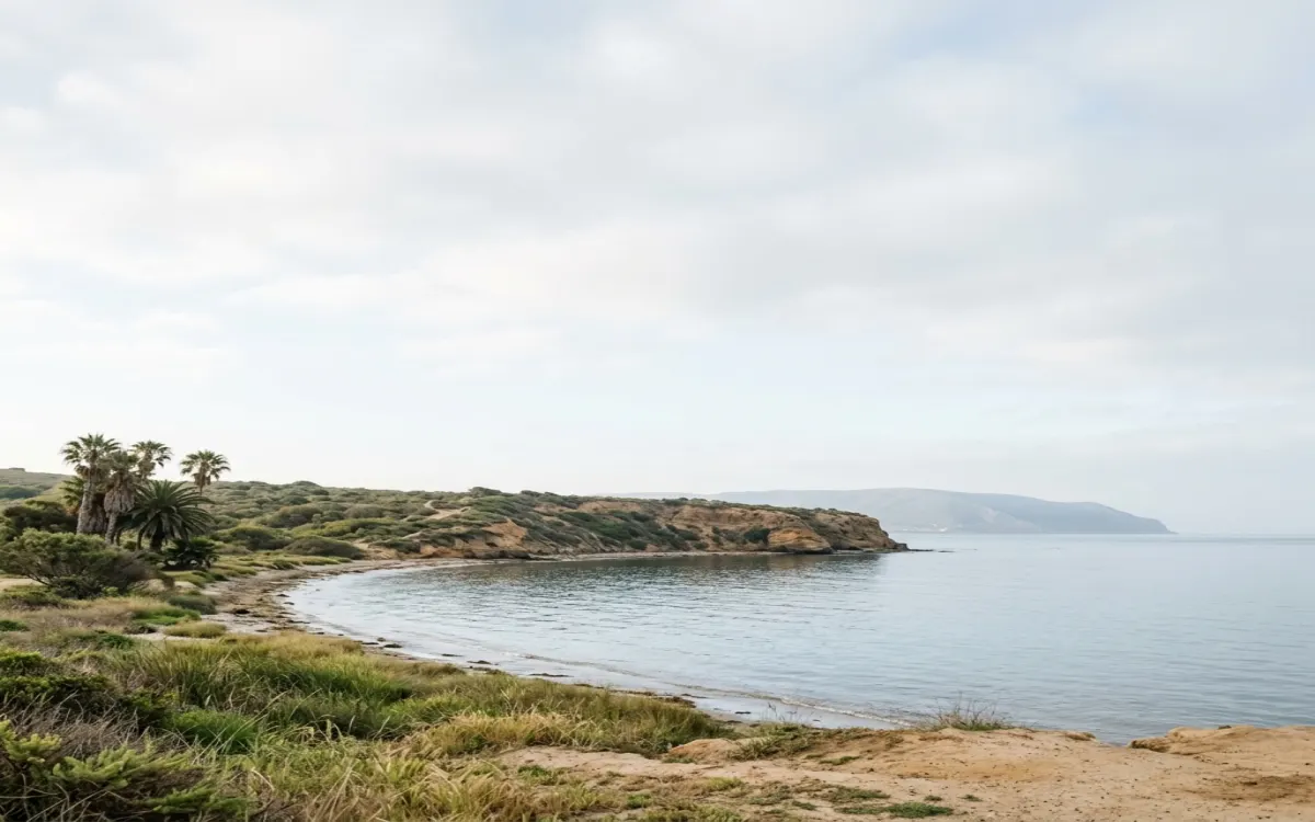 Calm San Diego bay and coastal mesa under wide, soft morning light with open sky