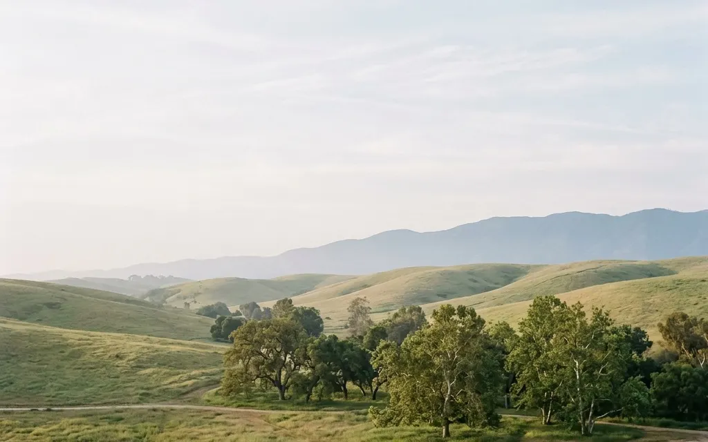 Calm central Orange County foothills and open sky near Tustin at soft morning light