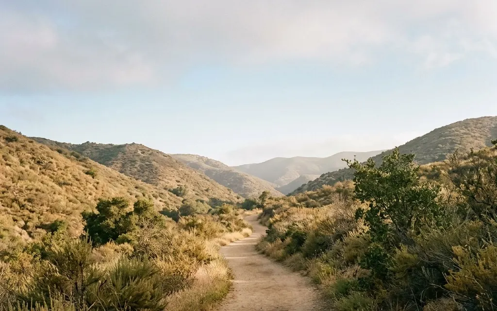 Early morning light over a quiet Southern California canyon trail, no people