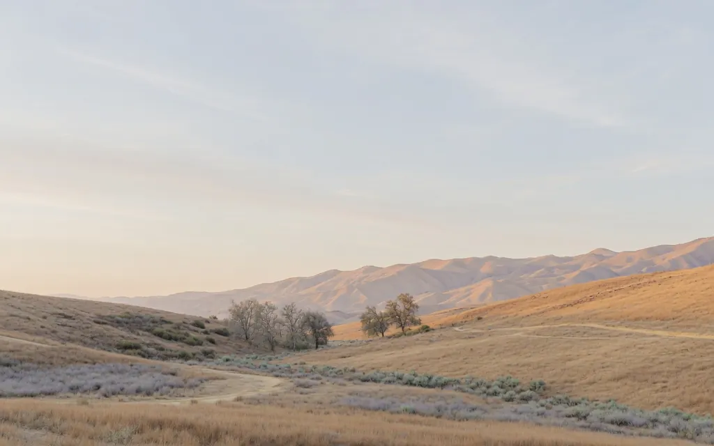 Calm Los Angeles County foothills and open parkland under soft morning light with wide pale sky
